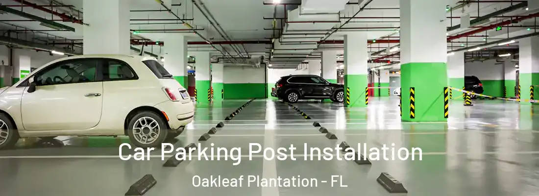  Car Parking Post Installation Oakleaf Plantation - FL