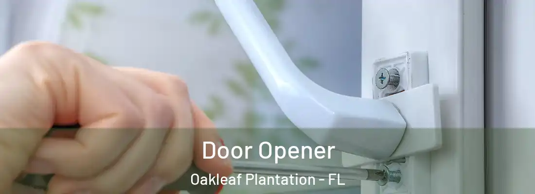  Door Opener Oakleaf Plantation - FL