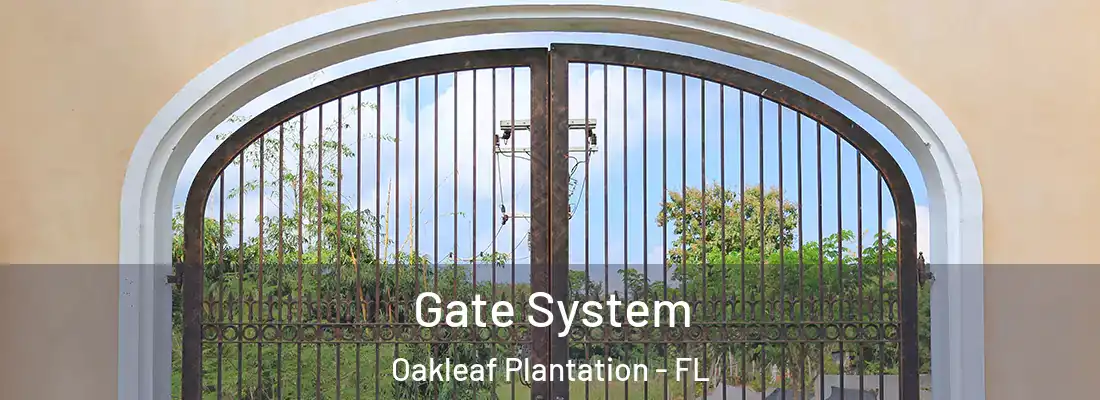 Gate System Oakleaf Plantation - FL