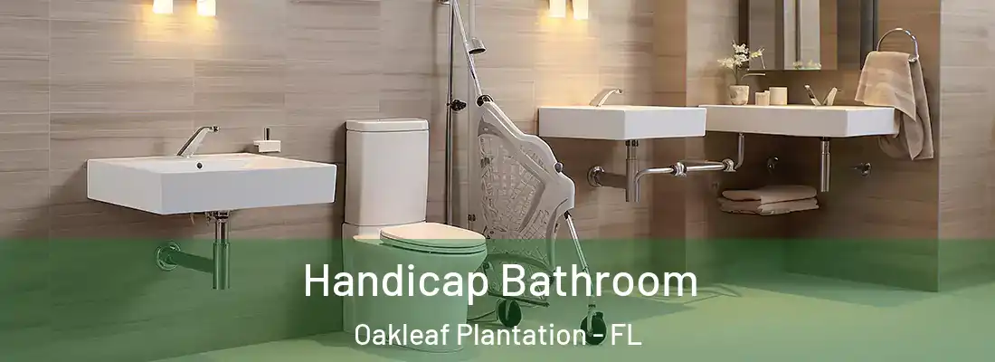  Handicap Bathroom Oakleaf Plantation - FL