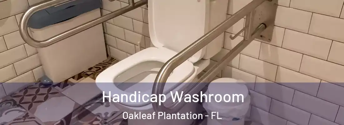  Handicap Washroom Oakleaf Plantation - FL