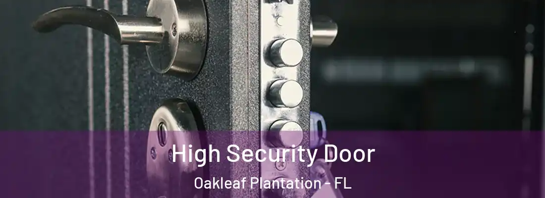  High Security Door Oakleaf Plantation - FL