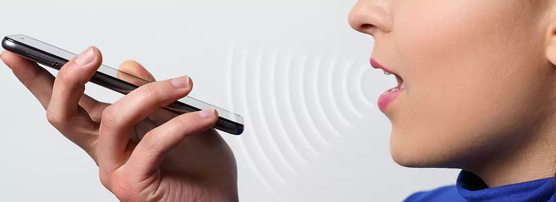 Residential and Commercial Voice Recognition Access Solutions in Oakleaf Plantation, FL